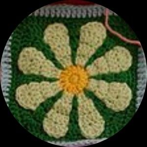 Meet your Posher, Chelsie